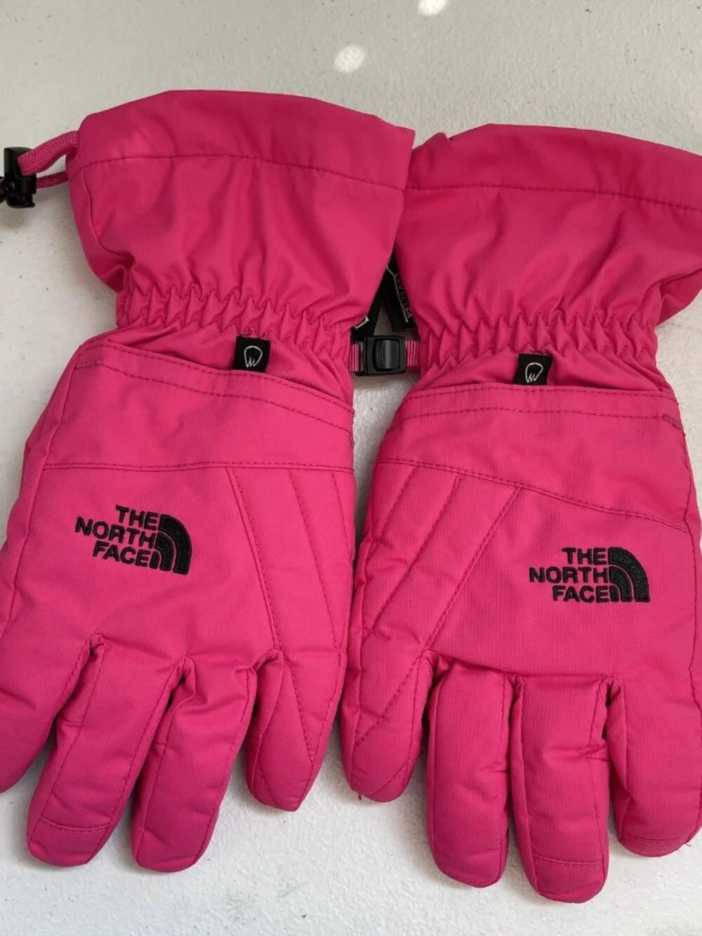 The North Face brand north